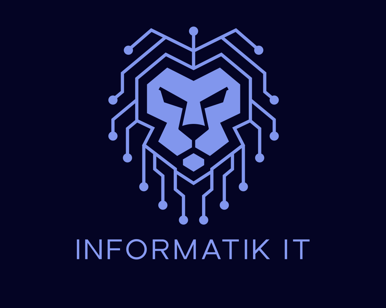 INFORMATIK IT