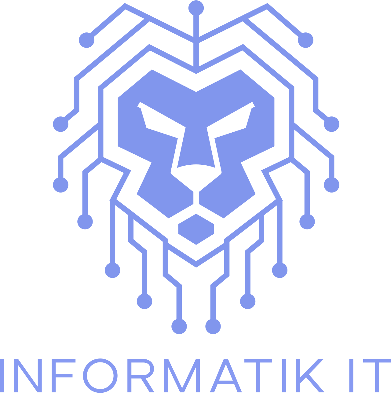 INFORMATIK IT